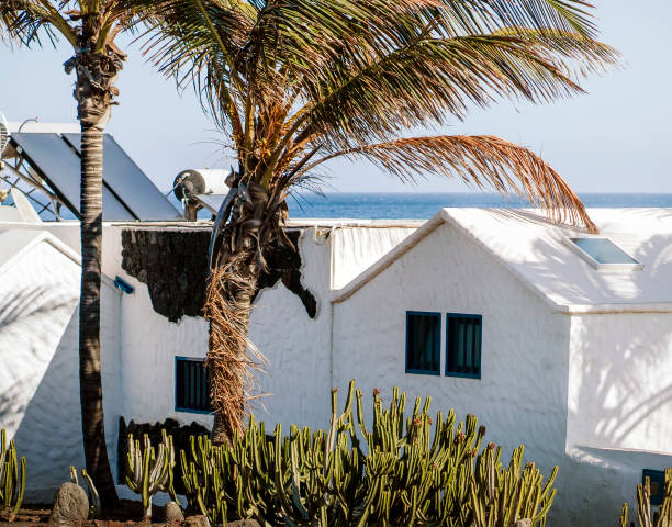 istock White houses on the seashore among palm trees and cacti. 2205662959