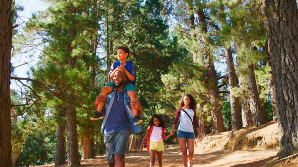 istock Father Giving Son Ride On Shoulders On Hike Along Path Through Woods 2205668429