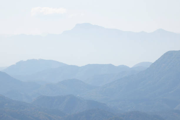 Mogan Mountain,Huzhou,Zhejiang,China,Asia.Bamboo Grove.