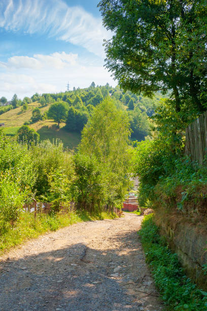 rural landscape with road in summer
