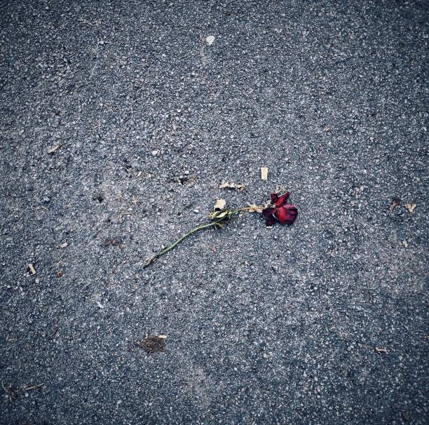 istock A Love Lost But Not Forgotten 2205671391