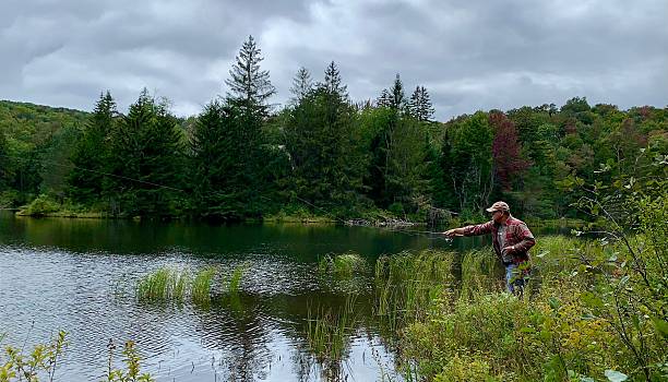 istock Fly fishing in a tranquil forest lake. 2205671702