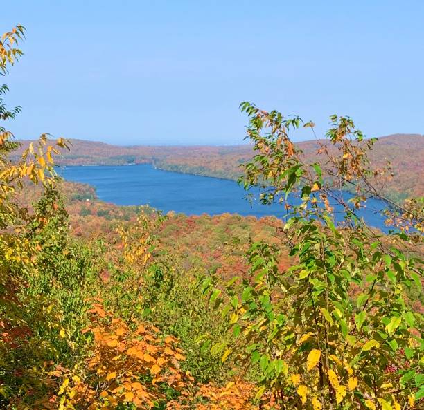 istock Scenic autumn lake view with vibrant foliage. 2205671703
