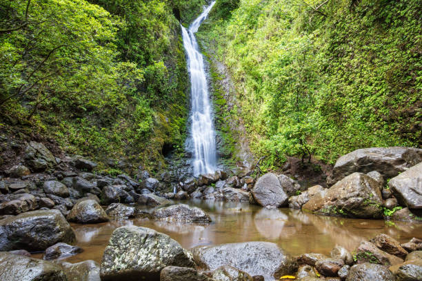 Waterfall. Green plants, pool lined with boulders.