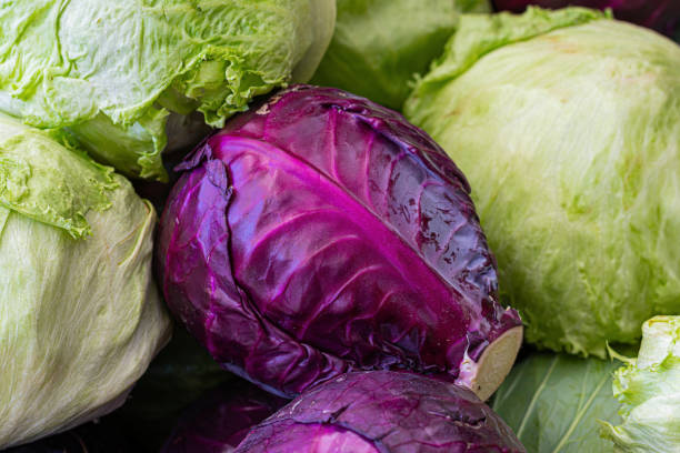 istock Closeup red cabbage on green lettuce 2205675213