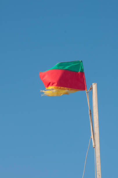 istock Rio Grande do Sul flag waving in the wind 2205677908