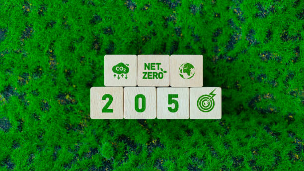 istock Net Zero Green Icon on Wooden Cube for Carbon Neutral and Zero Carbon Concept for Natural Environment. Net Zero Greenhouse Gas Emission Target, Climate Neutral Long Term Strategy for Sustainable Environment. 2205681116