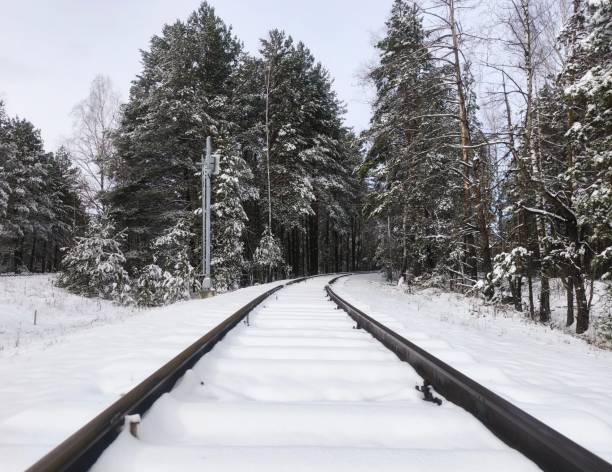istock snowy railway track curving through a winter forest, creating a serene and atmospheric landscape 2205683537