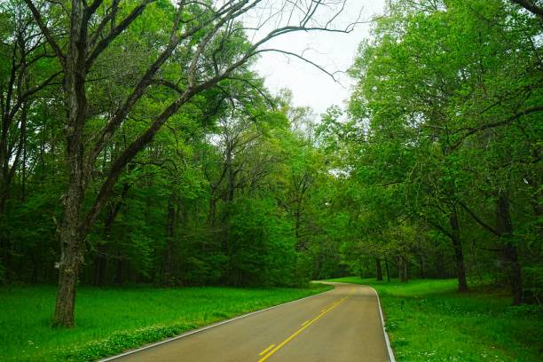 istock Natchez Trace National Park Mississippi 2205683761