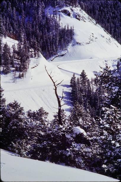 istock Clarks Nutcracker.  Ute Pass Road and Ute Pass trail has specatular views.  Backcountry Ski Touring in the William Fork drainage of the North Gore Mountain Range Colorado in 1984 2205686825