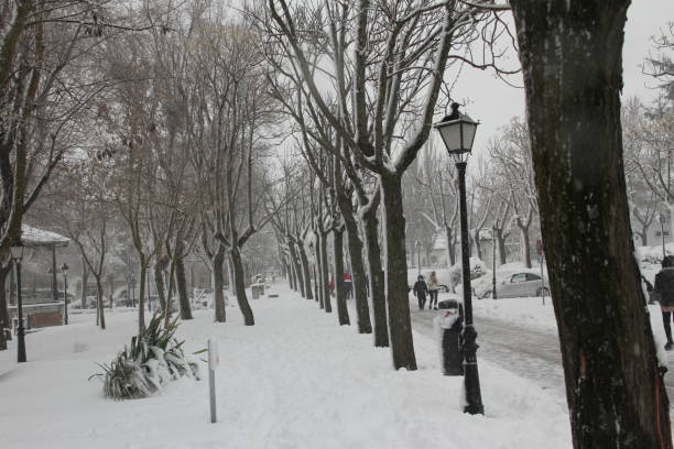 Royal Street of Brunete in snow