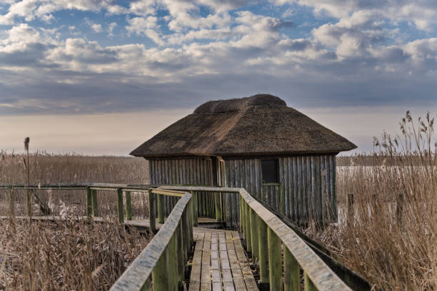 A tranquil scene featuring a wooden hut with a thatched roof, located in a marshland setting. Surrounded by nature, the image evokes a sense of serenity and countryside charm.