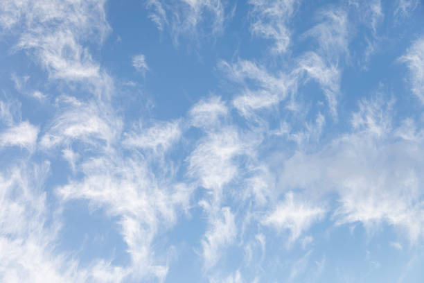 Wispy cirrus clouds stretch across a pale blue sky, creating an ethereal and dreamy atmosphere. These high-altitude clouds, composed of ice crystals, form intricate feather-like patterns that add texture to the vast open sky. The light and airy composition make this a perfect background or nature-inspired visual.