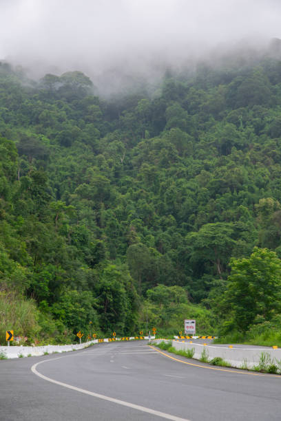 istock Road with a forest in the background 2205691865