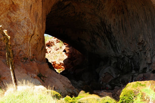 istock Tonto National Forest Arizona 2205693549
