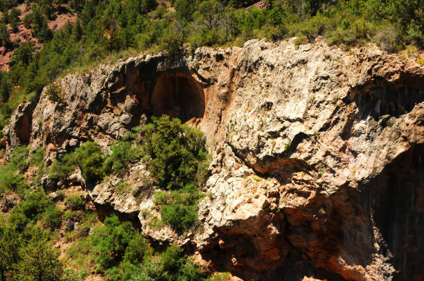 istock Tonto National Forest Arizona 2205693559