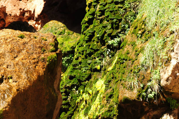 Tonto National Forest near Payson Arizona