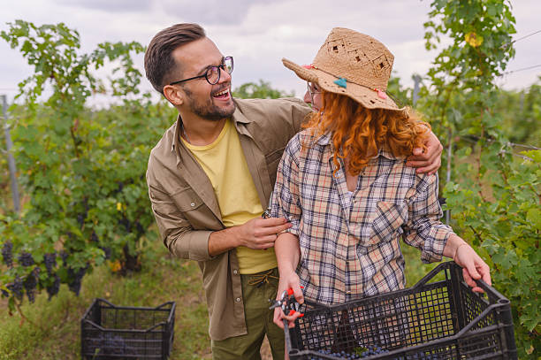 istock Happy couple enjoying grape harvesting in a vineyard, sharing a joyful moment while working together. The scenic rural setting highlights the beauty of winemaking and agriculture. 2205695240