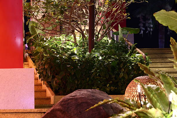 A serene night garden, with lush foliage and soft ambient lighting, invites peace