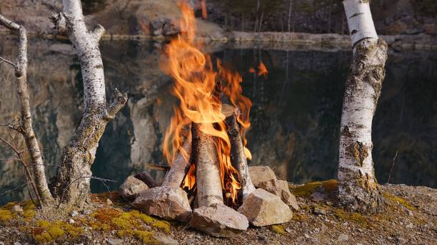 istock Crackling Campfire in a Rocky Landscape 2205696015