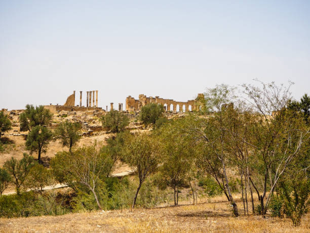 istock Volubilis Berber-Roman City Ruins - Morocco 2205697064