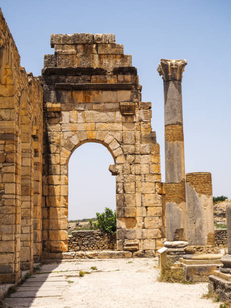 istock Volubilis Berber-Roman City Ruins - Morocco - Vertical 2205697092
