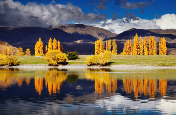 istock Lake Benmore, New Zealand 2205697734
