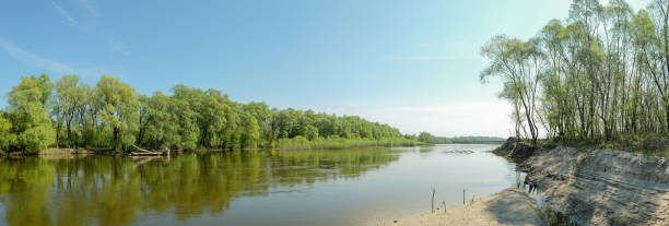 istock Scenic river with lush green trees and sandbank 2205699104