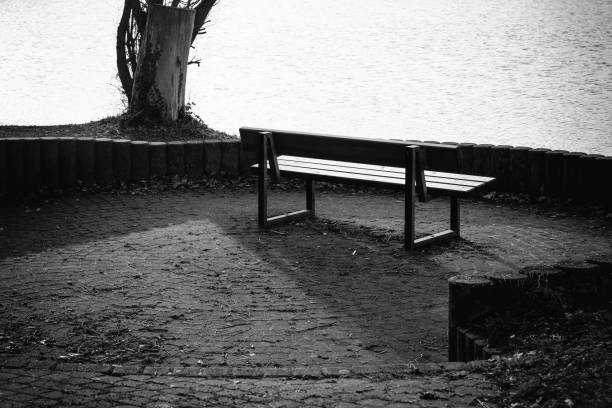 istock Bench by the water surrounded by nature in a tranquil setting during the day 2205700142
