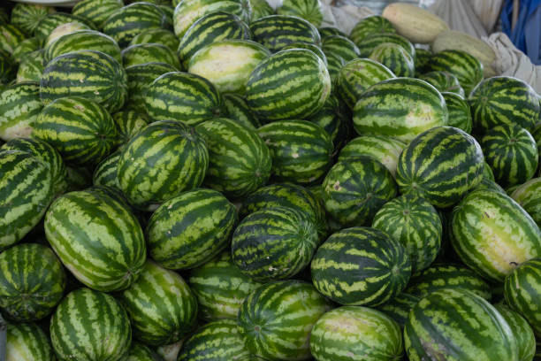 watermelons are placed in Siyob Bazaar also called Siab Bazaar, is the largest bazaar in Samarkand