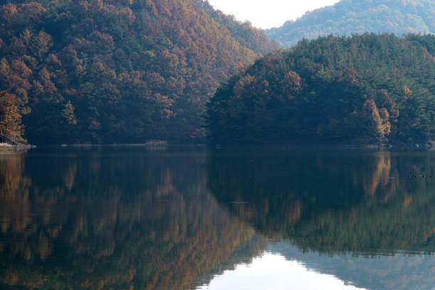 tranquil landscape