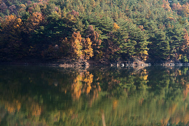 istock trees and reflection on the lake in autumn 2205711473