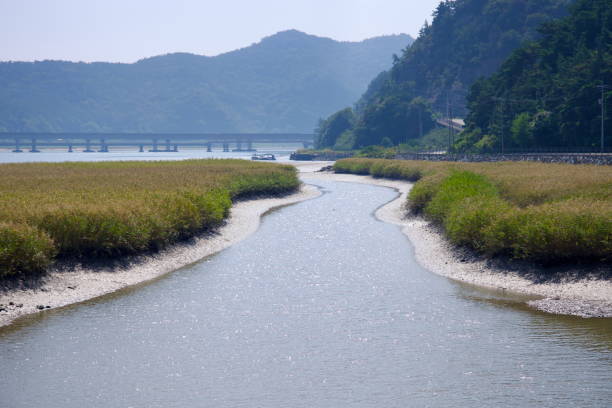 istock Tidal Channel Leading to the Seomjin River 2205713639