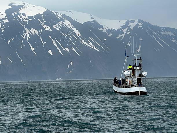 istock Fishing boat in Husavik, Iceland 2205714177