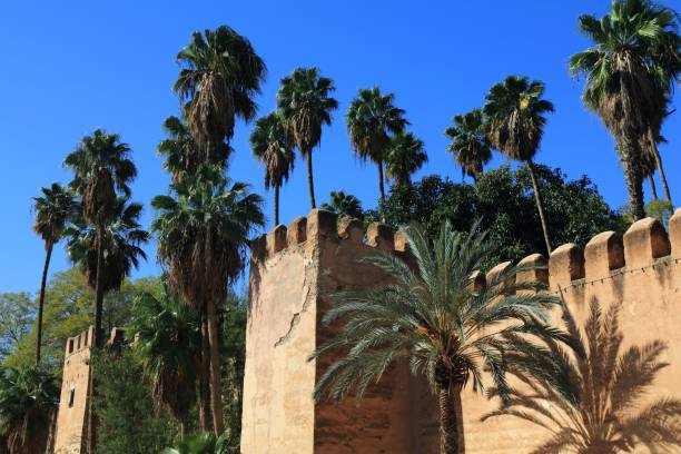 City walls and palm trees in Taroudant city, Morocco.