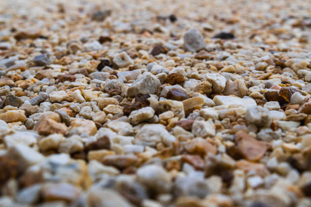 A close-up view of a pebbly landscape showcases the unique textures and colors of nature.