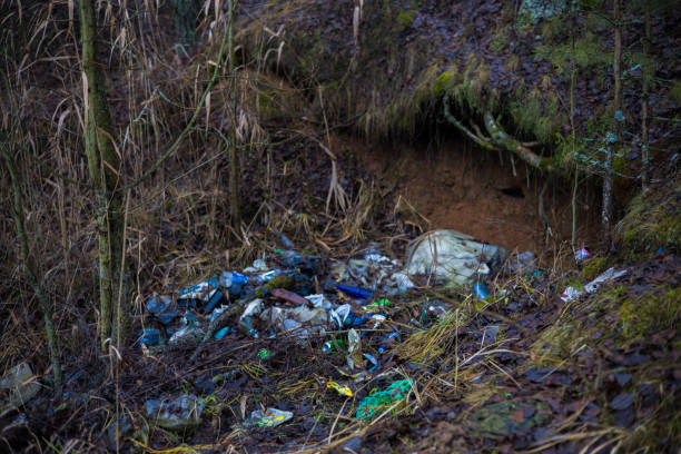 Plastic bottles, broken glass and various trash pollute the forest floor, highlighting the harmful effects of pollution on the natural environment. Pollution of the forest with household trash..