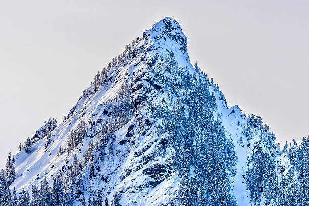 Snow Covered McClellan Butte Mountain Peak Snoqualme Pass Cascade Range Washington. McCkellan Butte is 5, 162 feet high.