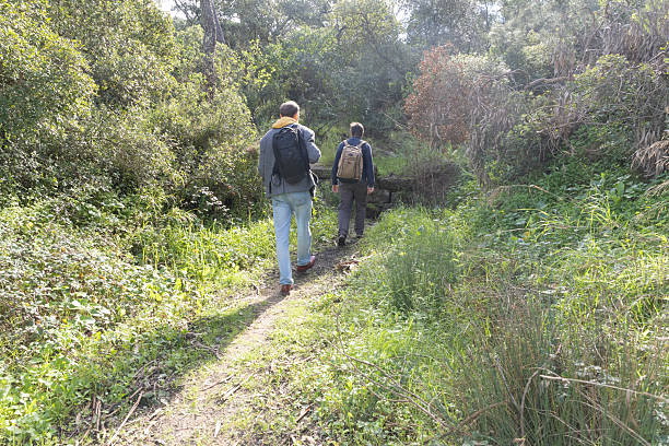 istock Hikers walking on trail in lush green forest 2205720413