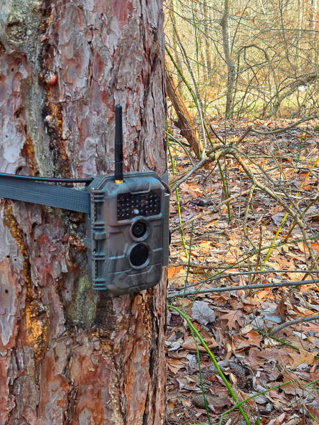 istock Camouflaged Surveillance Trail Camera In Woods 2205721669