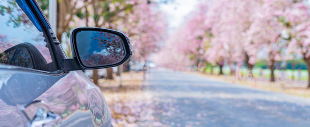 Car side mirror, road and flowers