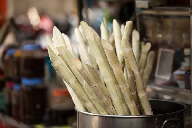 Sugar cane, sugar cane juice.\nStreet food market, Saigon city.