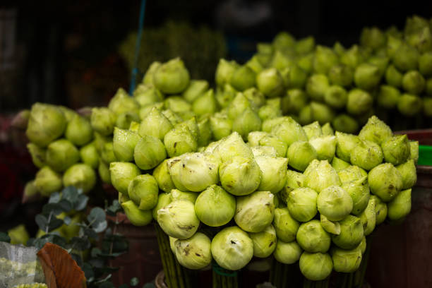 Indian lotus flowers in street flower market.Saigon City - Vietnam.