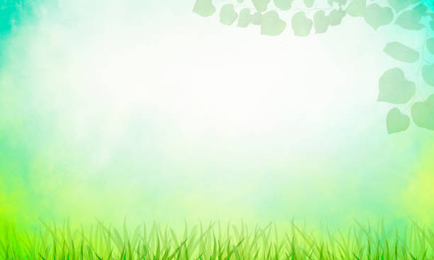 Abstract Watercolor Background - Blue Sky, Clouds, Grass, Leaves - Spring and Summer
