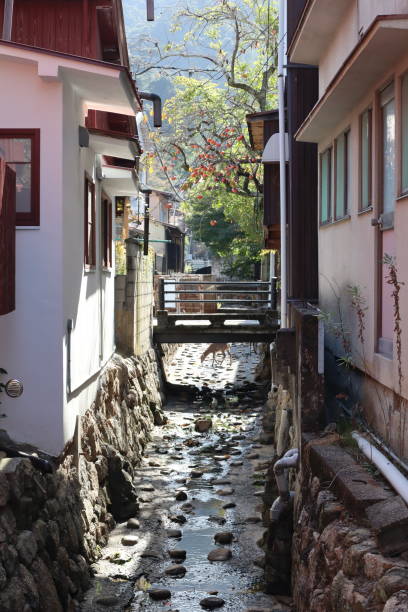 istock Hidden Tranquility in a Japanese Alley 2205730783
