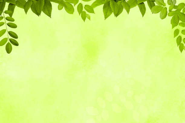 Watercolor Background Framed with Green Leaves - Spring and Summer - with copy space