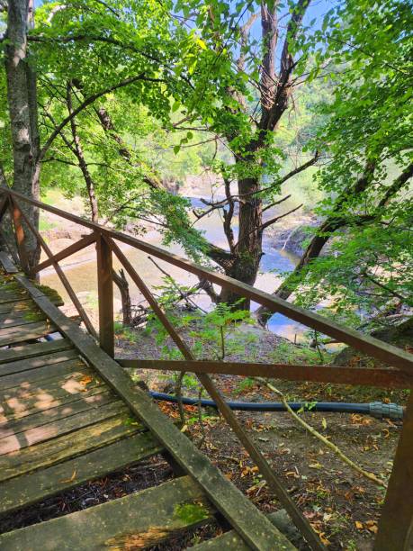 istock Wooden bridge over a forest stream 2205741276