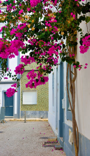 istock Olhao  algarve portugal 2205743577