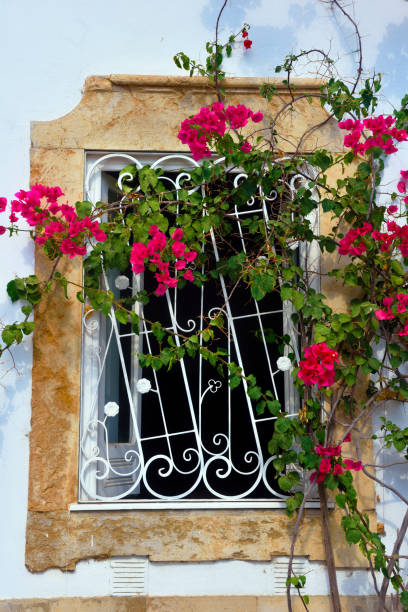 istock Olhao  algarve portugal 2205744491