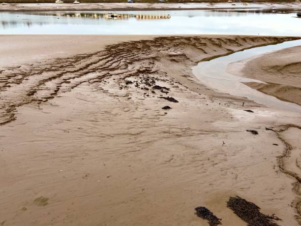 istock A scenic coastal mudflat with intricate tidal patterns and a winding water channel at low tide 2205747532